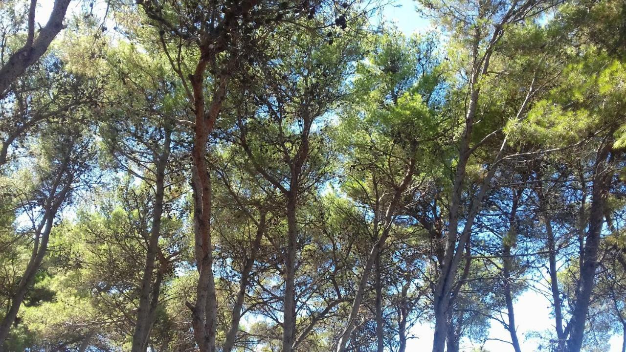 אוגייאן Caravan Near The Sea 2 מראה חיצוני תמונה